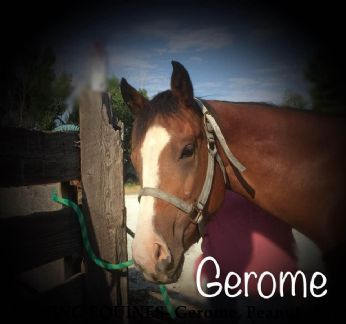 MISSING EQUINES- Gerome, Peanut , Sam,  $1000 REWARD (Manny and Magic Recovered) Near Lovell, WY, 82431